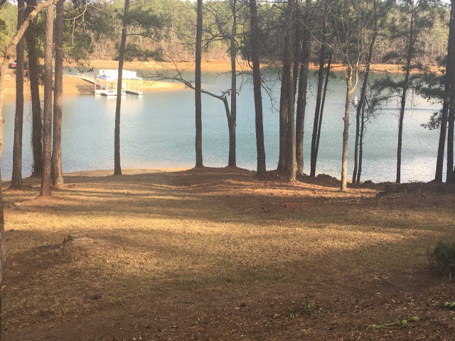 131 Bragg Drive Modoc, SC 29838 - Photo 39 of 40 Bakyard
