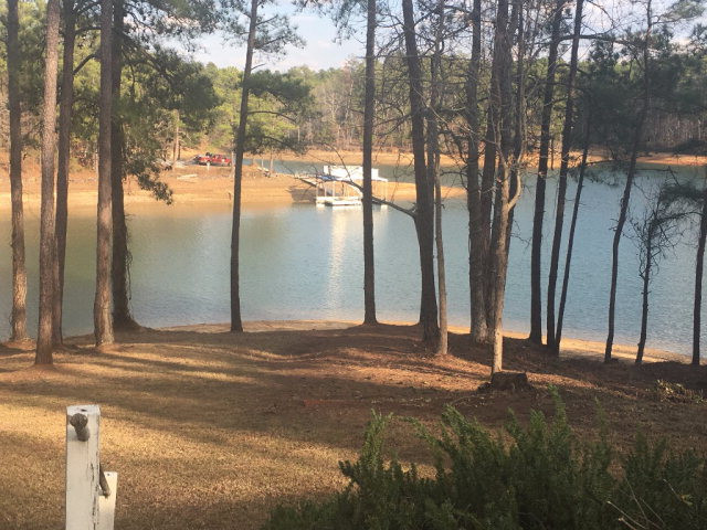 131 Bragg Drive Modoc, SC 29838 - Photo 40 of 40 Backyard