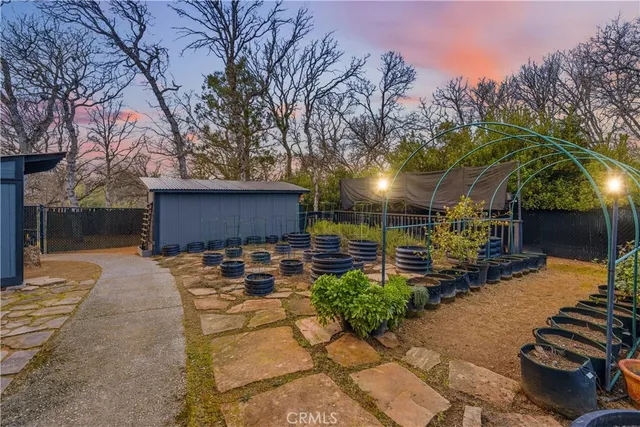 a view of a house with a large tree in front of it