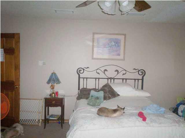 1702 Jacks Branch Road Cantonment, FL 32533 - Photo 6 of 15