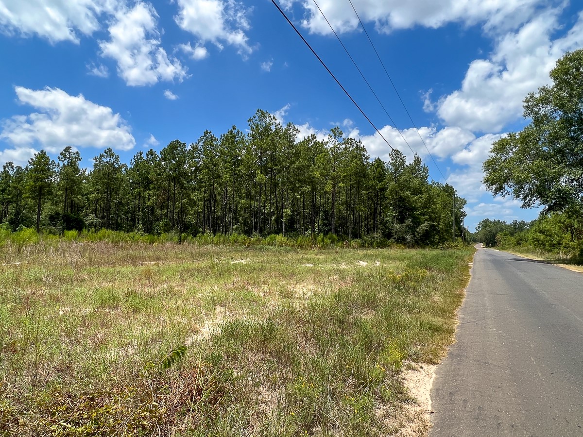 1 County Road 1420 Warren, TX 77664 - Photo 11 of 15 a view of a yard