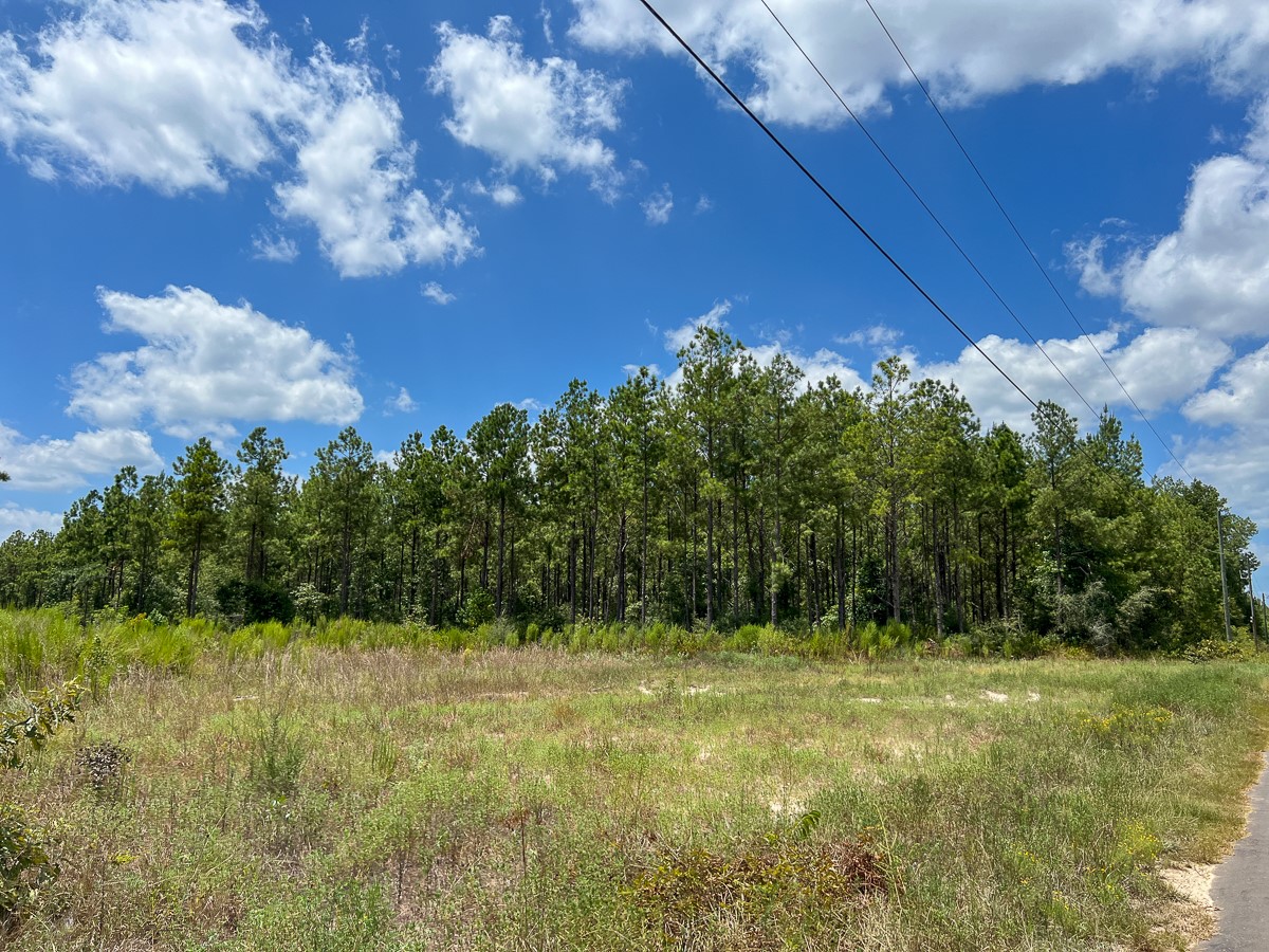 1 County Road 1420 Warren, TX 77664 - Photo 3 of 15 a view of outdoor space and yard