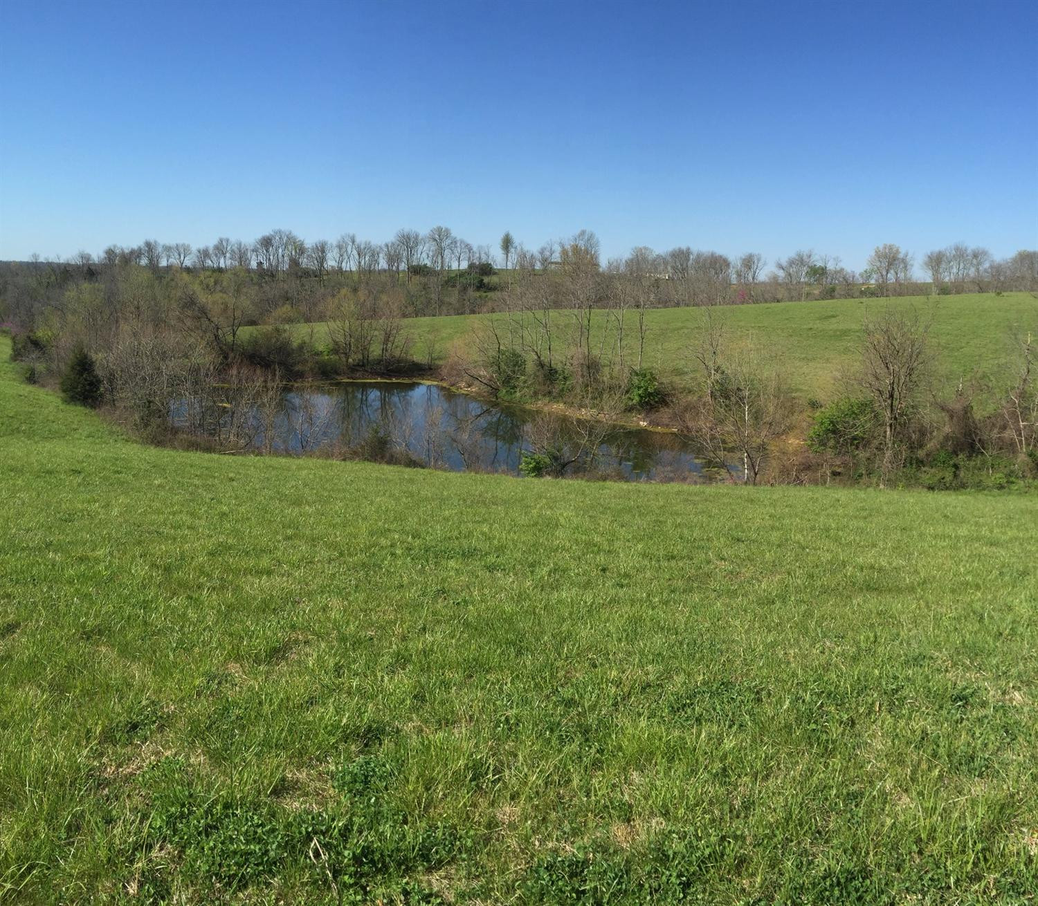 999 Shallow Ford Road Richmond, KY 40475 - Photo 5 of 7 Photo 5