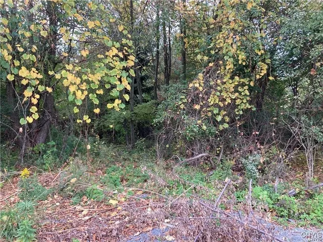 $578,000 | Ne Of E Main Street Northeast Of E Main Street, Sackets Harbor, NY 13685