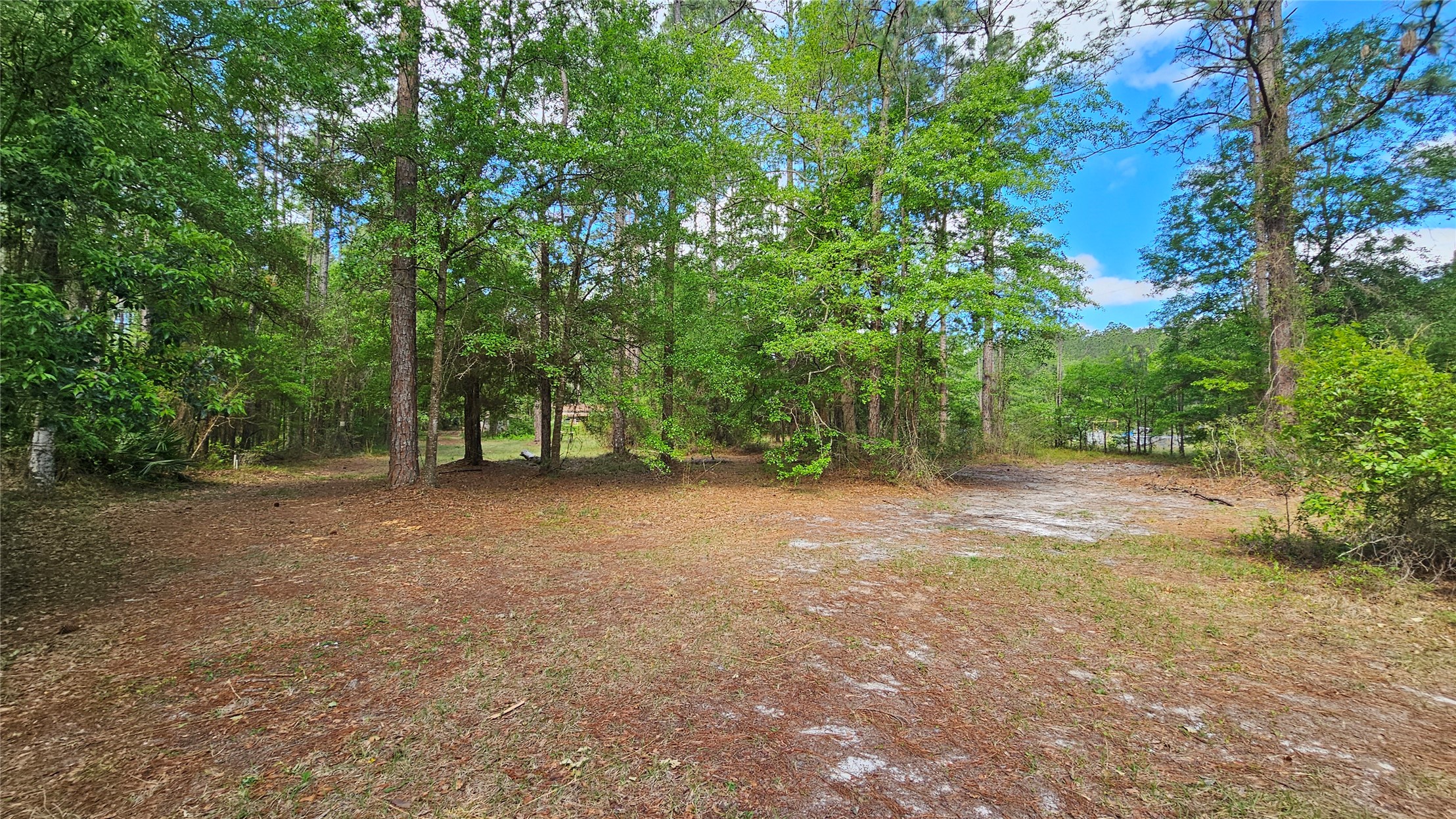 6324 Lannie Road Jacksonville, FL 32218 - Photo 31 of 60