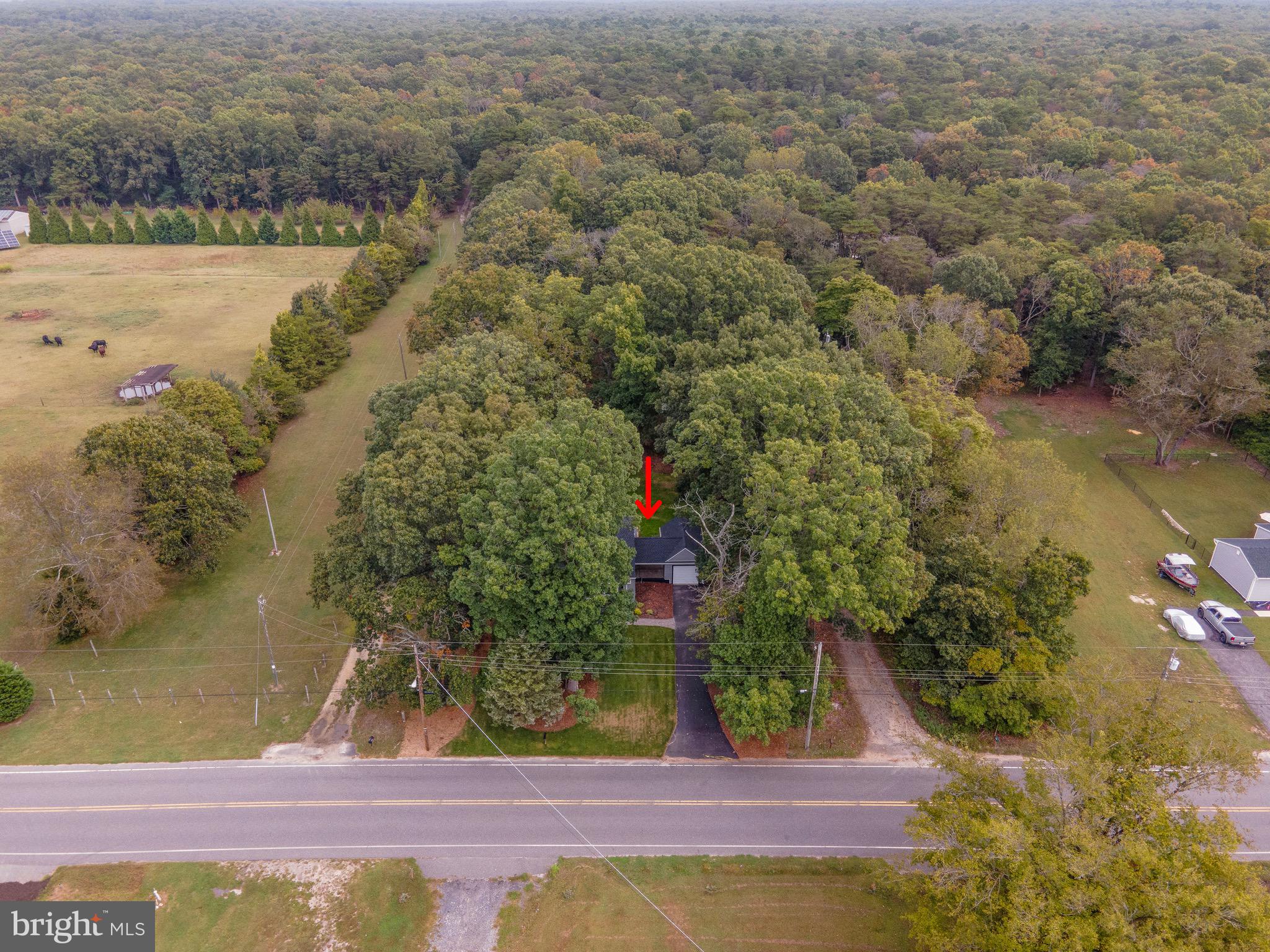 485 Lummistown Road Cedarville, NJ 08311 - Photo 7 of 34