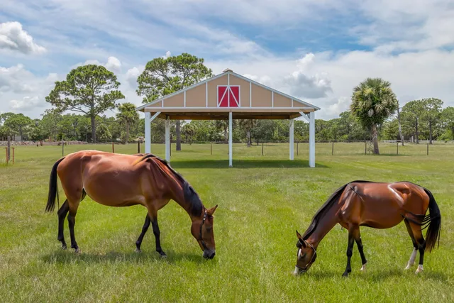 $1,200,000 | 4715 Blossom Ridge Place, Grant, FL 32949