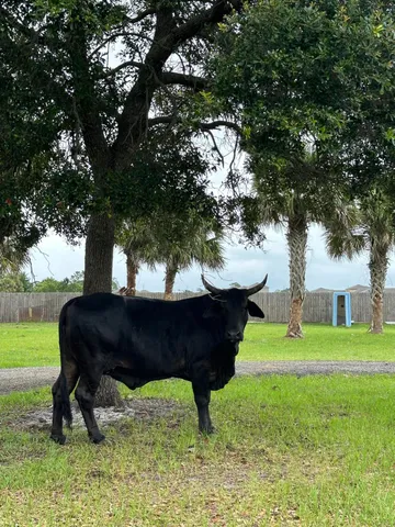 $1,200,000 | 4715 Blossom Ridge Place, Grant, FL 32949