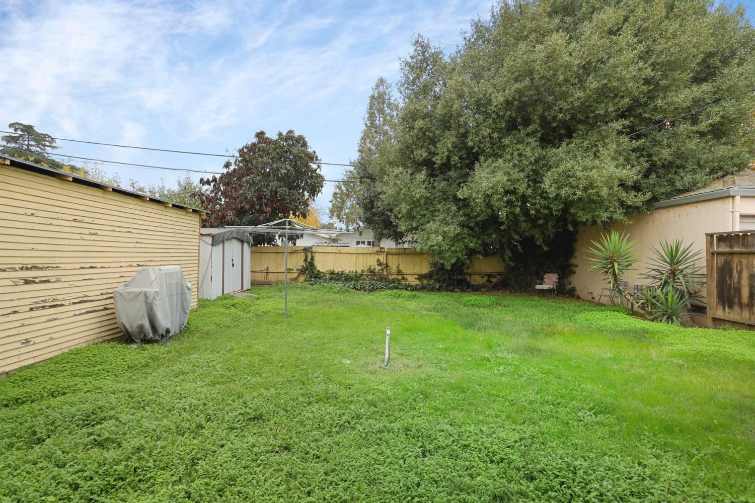 1428 West Harding Way Stockton, CA 95203 - Photo 29 of 32 a view of a backyard with plants and large trees