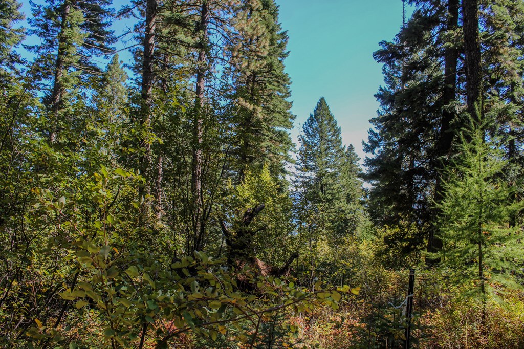 1204 Porcupine Road, Unit 2 Cascade, ID 83611 - Photo 5 of 5