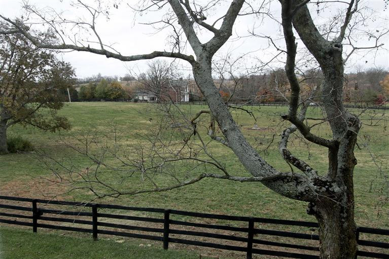 795 Bethlehem Road Paris, KY 40361 - Photo 42 of 61 Photo 42