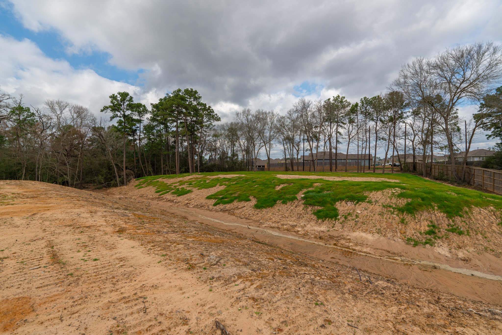 25503 Hufsmith Cemetery Road Tomball, TX 77375 - Photo 24 of 24 a view of a park with large trees