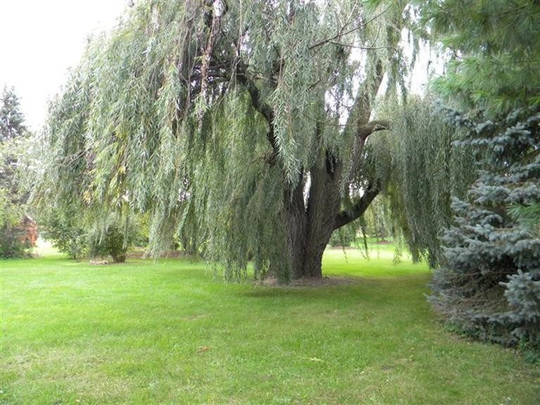 47675 Cherry Hill Road Canton, MI 48188 - Photo 9 of 10 Photo 9