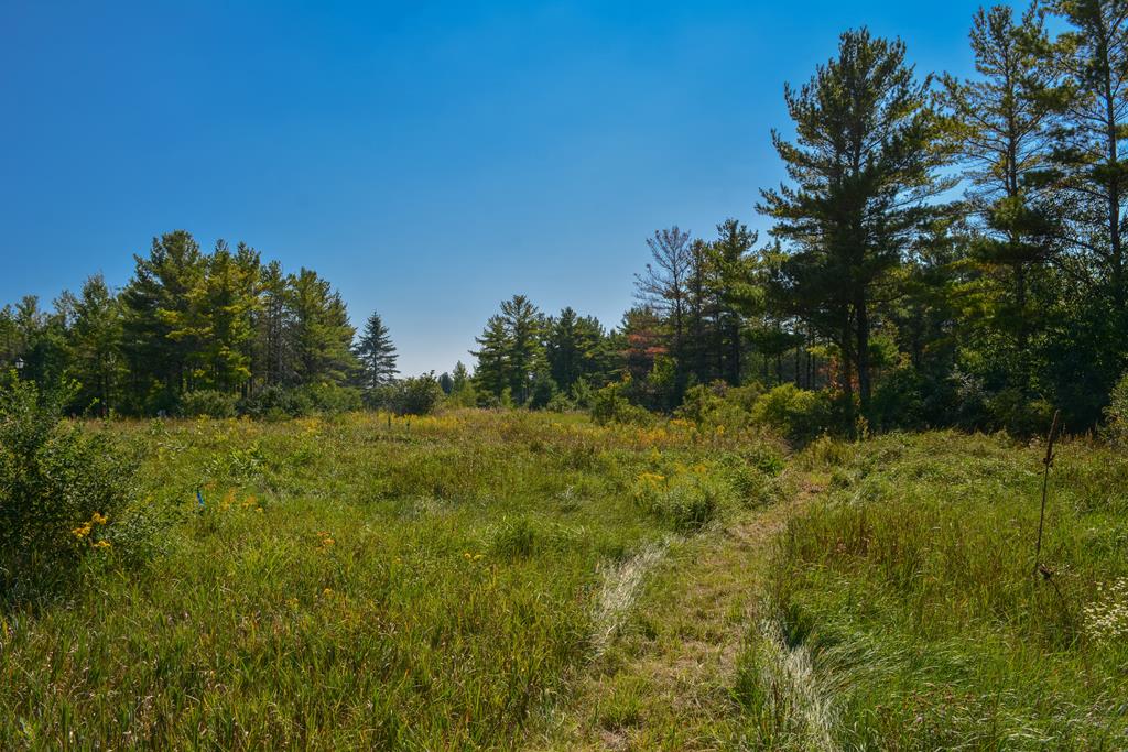 Lot 4 North Cobblestone Road Egg Harbor, WI 54209 - Photo 7 of 11