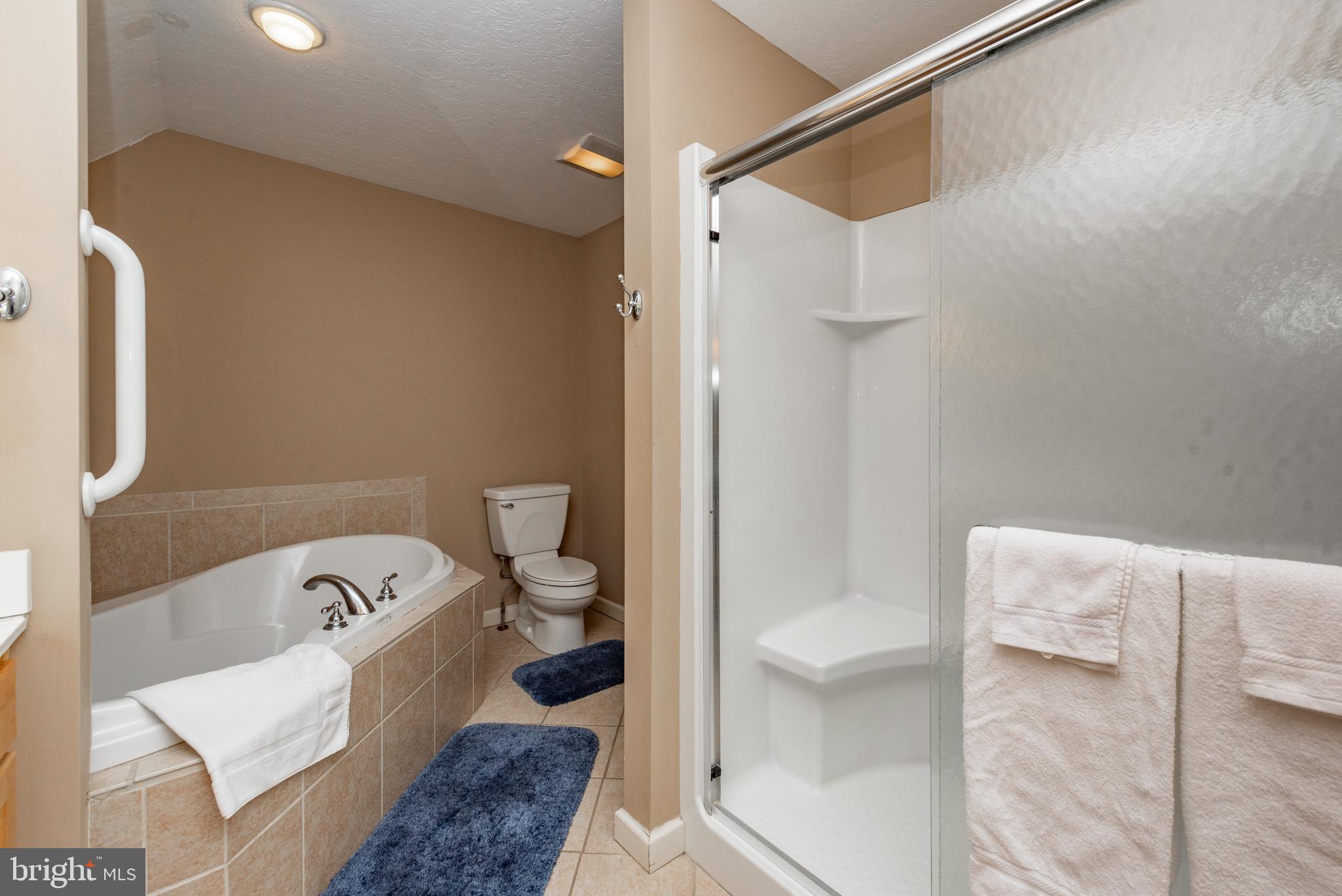 2828 Glendale Road Swanton, MD 21561 - Photo 35 of 78 a bathroom with a bathtub and toilet