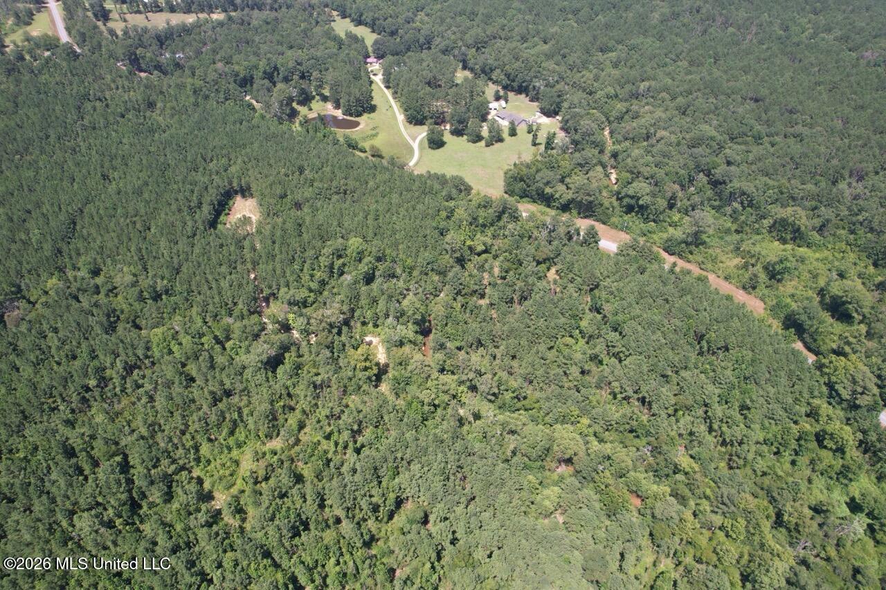 399 Northeast Dummyline Road Brookhaven, MS 39601 - Photo 12 of 33 DJI_0687 Large