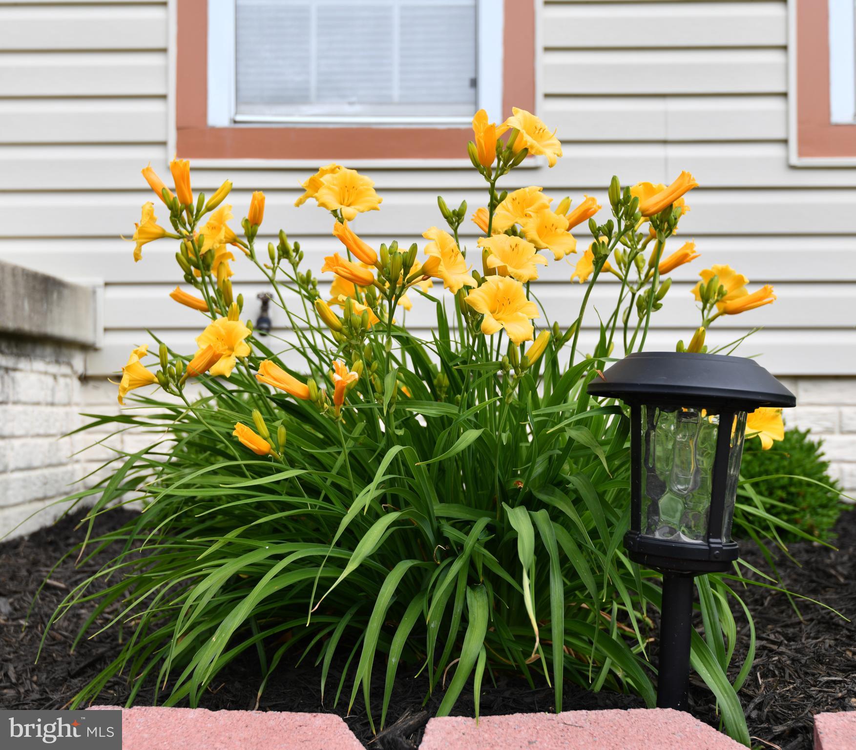 7104 Friendship Road Clinton, MD 20735 - Photo 11 of 29 This is what you get with a southern exposure.