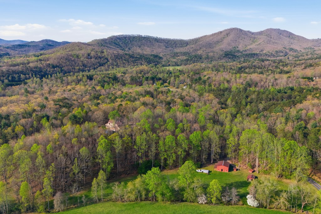 853 Caler Road Brasstown, NC 28902 - Photo 109 of 122 Gallery Image 109