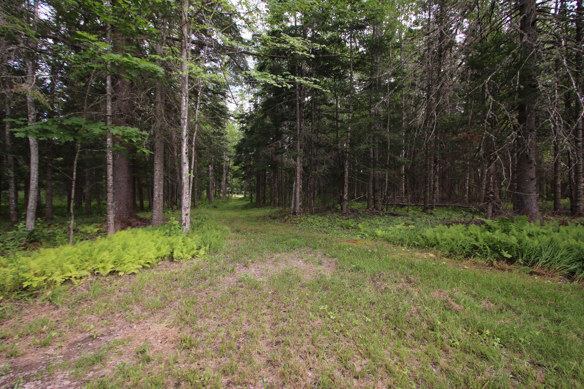 1143 Alton Tannery Road Alton, ME 04468 - Photo 77 of 84 IMG_3041