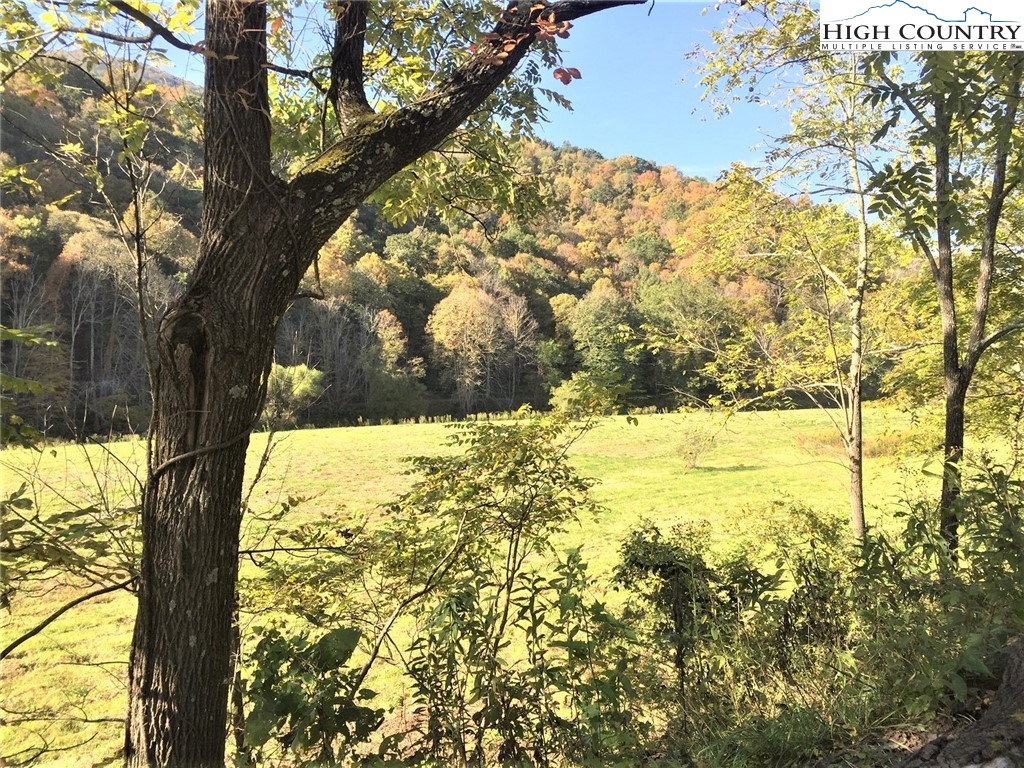 Tbd Lot#2 West Deep Ford Road Lansing, NC 28643 - Photo 11 of 12