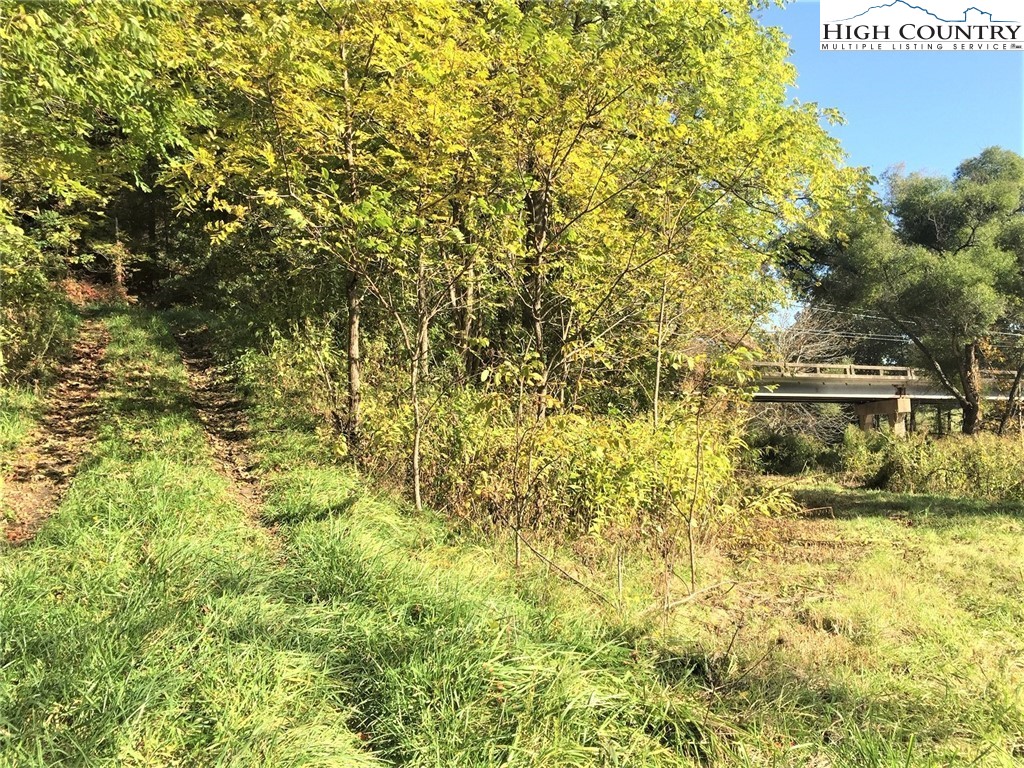 Tbd Lot#2 West Deep Ford Road Lansing, NC 28643 - Photo 9 of 12