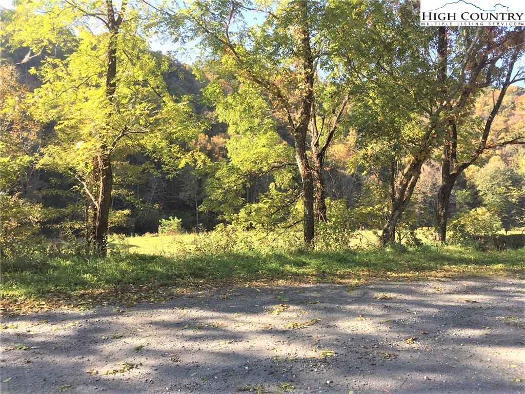 Tbd Lot#2 West Deep Ford Road Lansing, NC 28643 - Photo 10 of 12