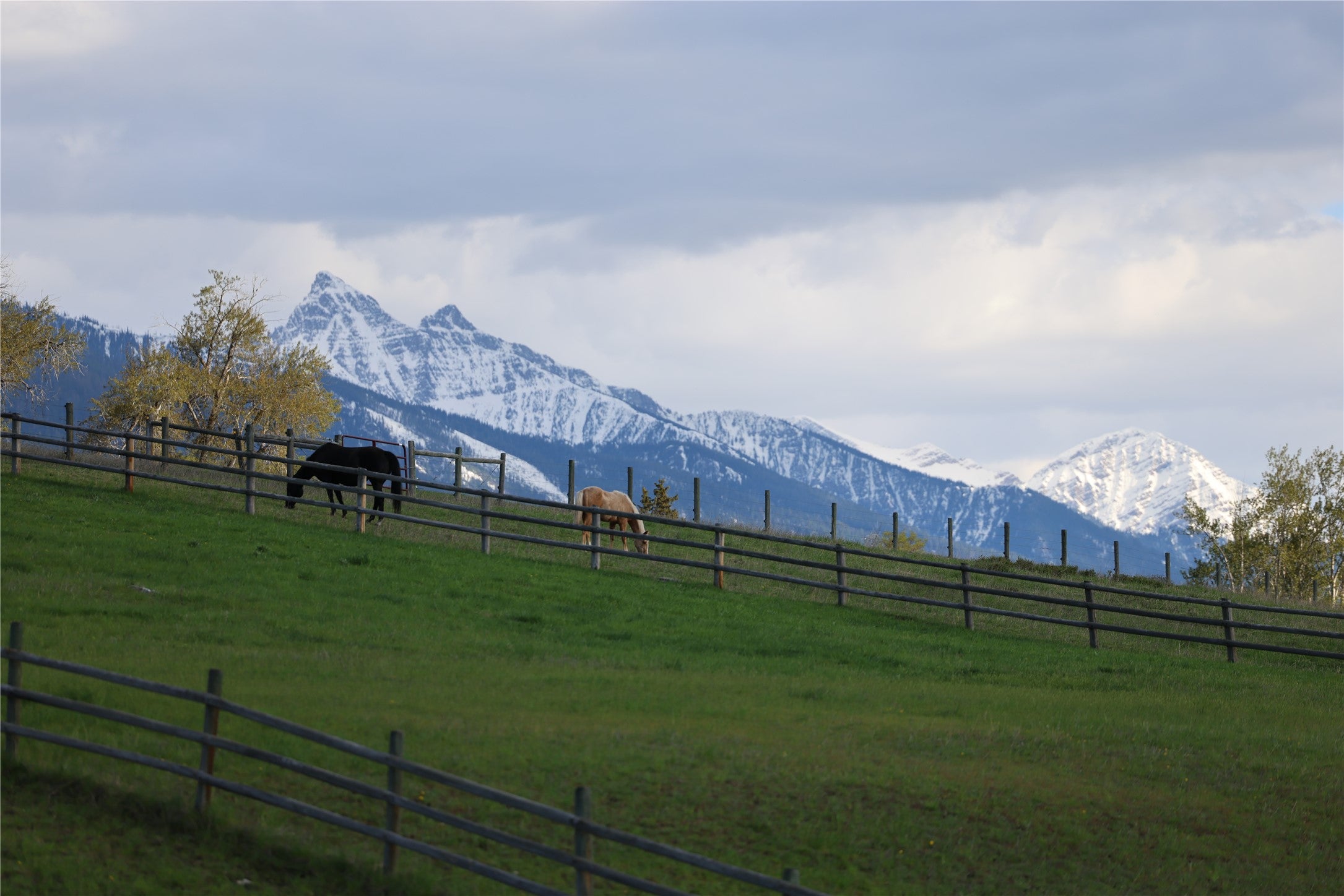 41694 Canal Road Ronan, MT 59864 - Photo 14 of 69 Gallery Image 14