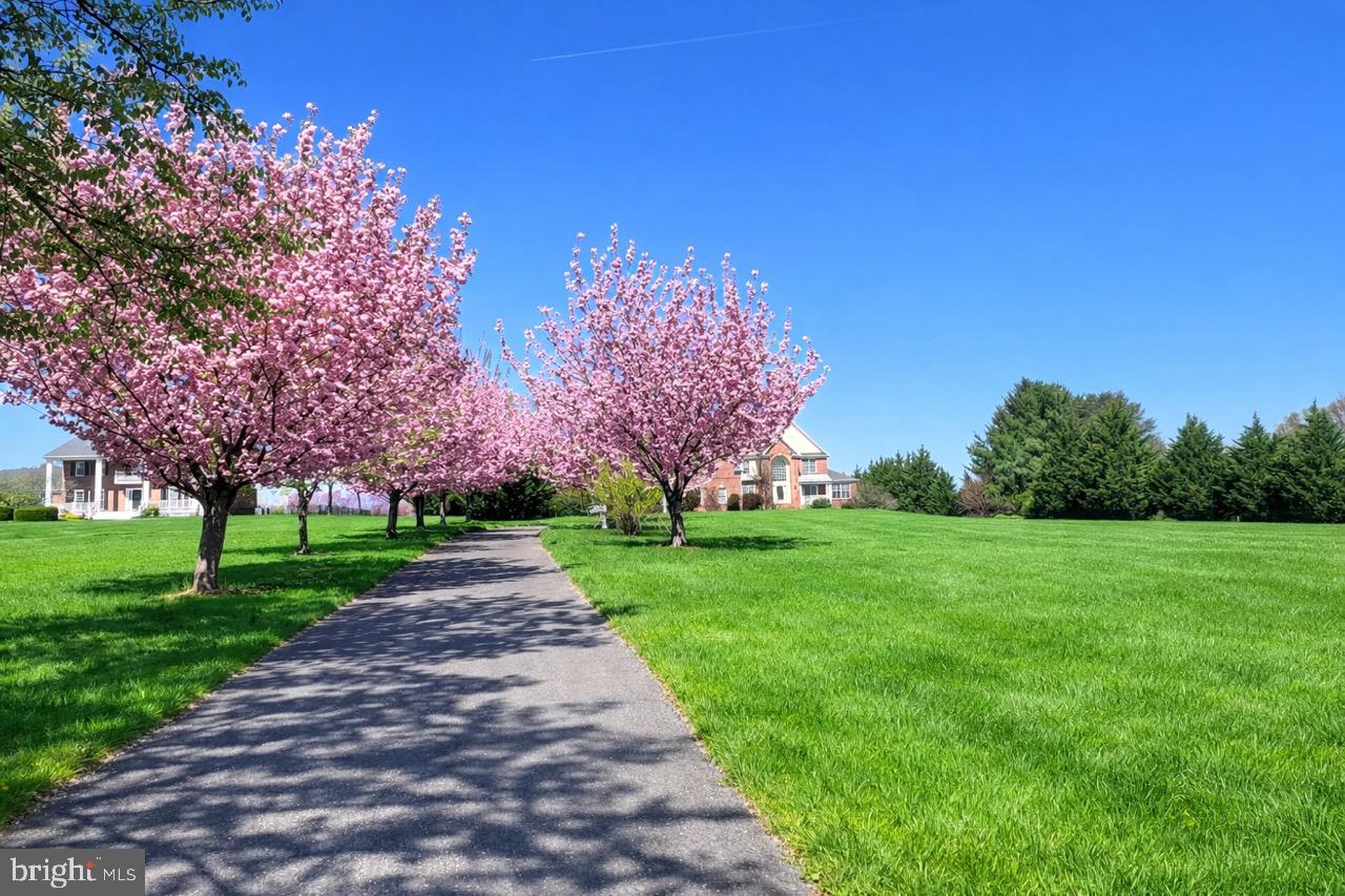 13031 12 Hills Road Clarksville, MD 21029 - Photo 2 of 4 a view of a park with large trees