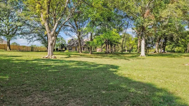 a view of a park with large trees