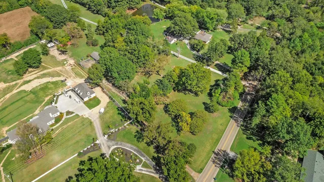 a picture of flowers