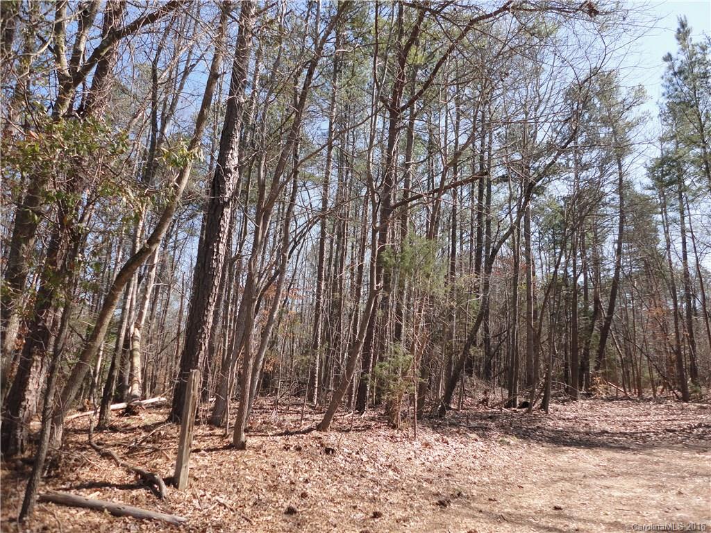 Lot 2 Island View Circle, Unit 2 Fort Mill, SC 29708 - Photo 1 of 7 a view of outdoor space with trees
