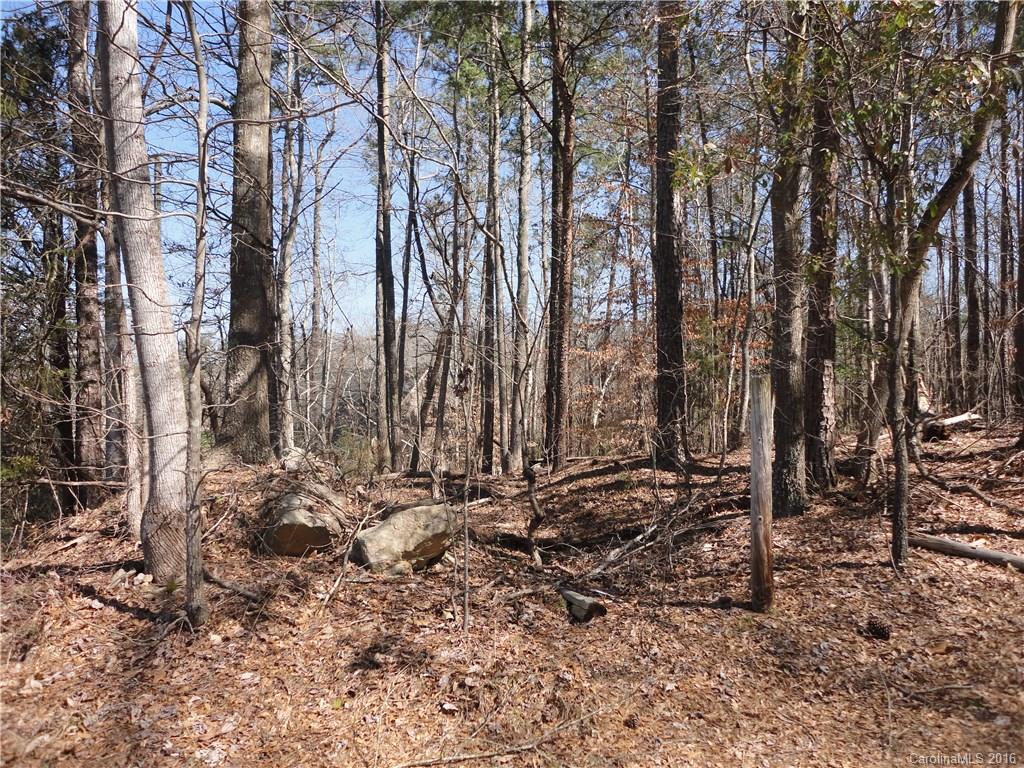 Lot 2 Island View Circle, Unit 2 Fort Mill, SC 29708 - Photo 2 of 7 a view of a forest with trees
