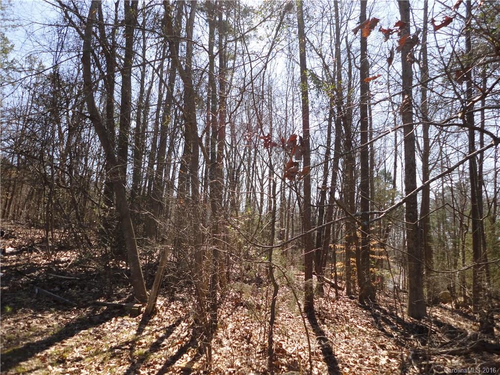 Lot 2 Island View Circle, Unit 2 Fort Mill, SC 29708 - Photo 5 of 7 a view of forest