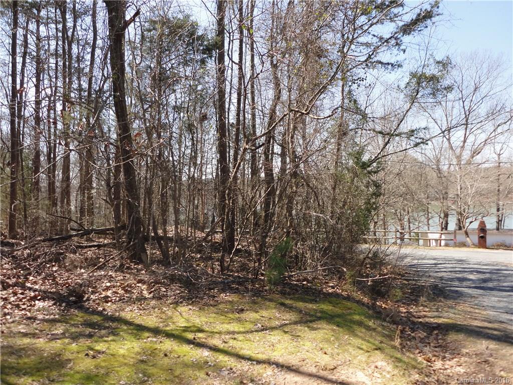 Lot 2 Island View Circle, Unit 2 Fort Mill, SC 29708 - Photo 6 of 7 a view of backyard of house