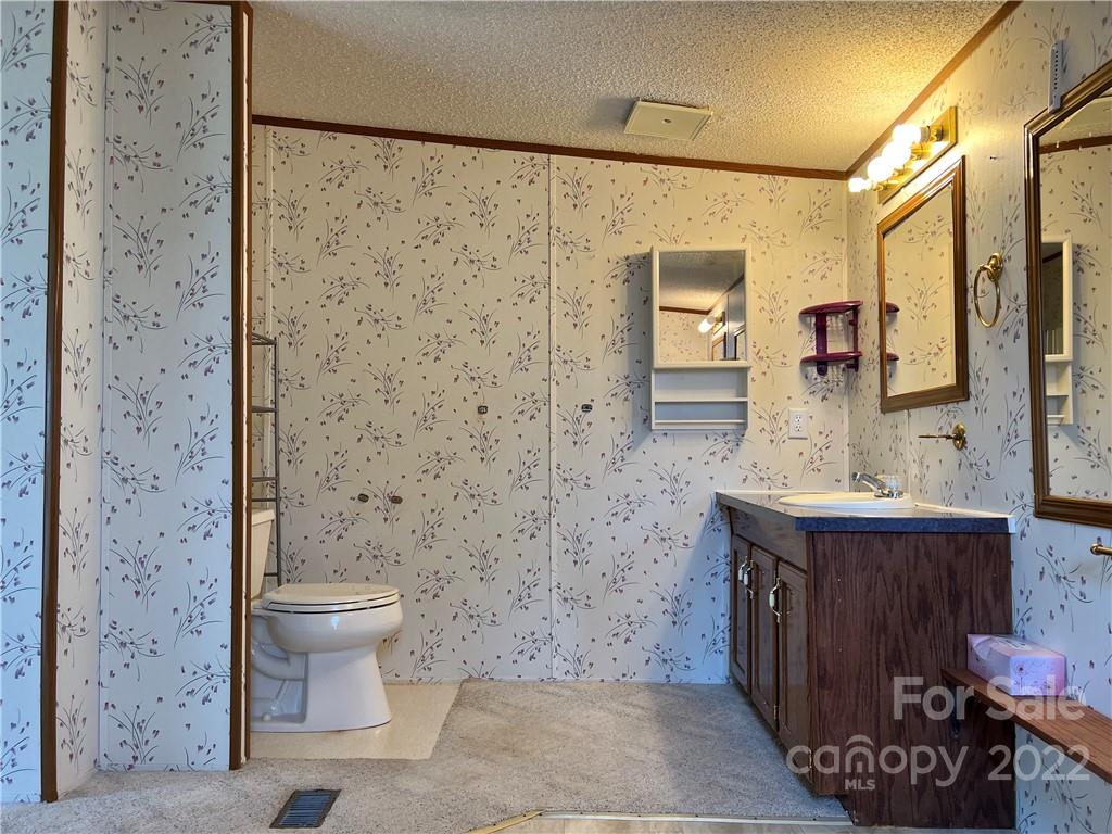 8581 Highway 268 Elkin, NC 28621 - Photo 18 of 45 a bathroom with a sink a toilet and mirror