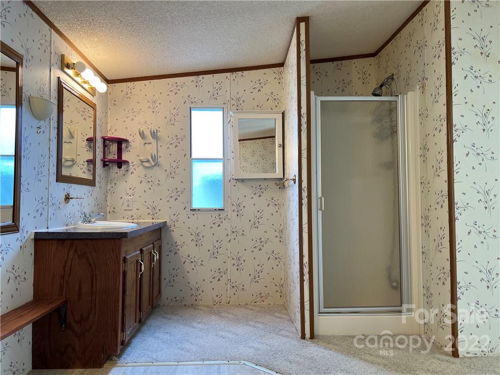 8581 Highway 268 Elkin, NC 28621 - Photo 19 of 45 a bathroom with a granite countertop sink a mirror and shower
