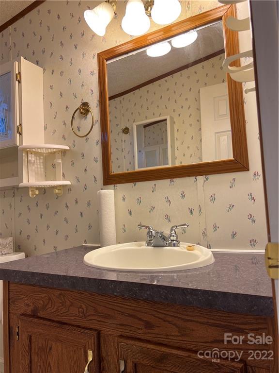 8581 Highway 268 Elkin, NC 28621 - Photo 28 of 45 a bathroom with a sink and a mirror