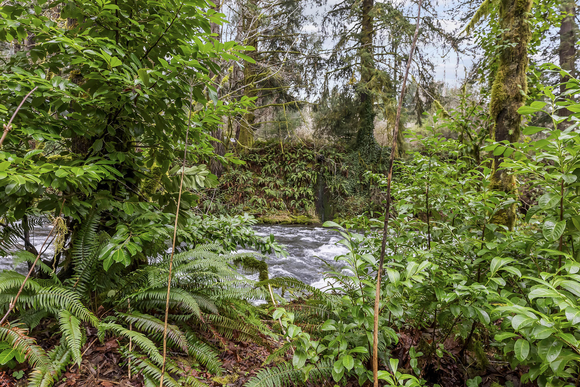 400 North Slick Rock Creek Road Otis, OR 97368 - Photo 17 of 20 Beautiful Views