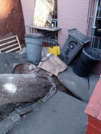689 Madison Street Brooklyn, NY 11221 - Photo 17 of 20 a bed room with furniture and a fireplace