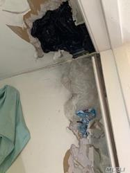 689 Madison Street Brooklyn, NY 11221 - Photo 19 of 20 a close view of shoes