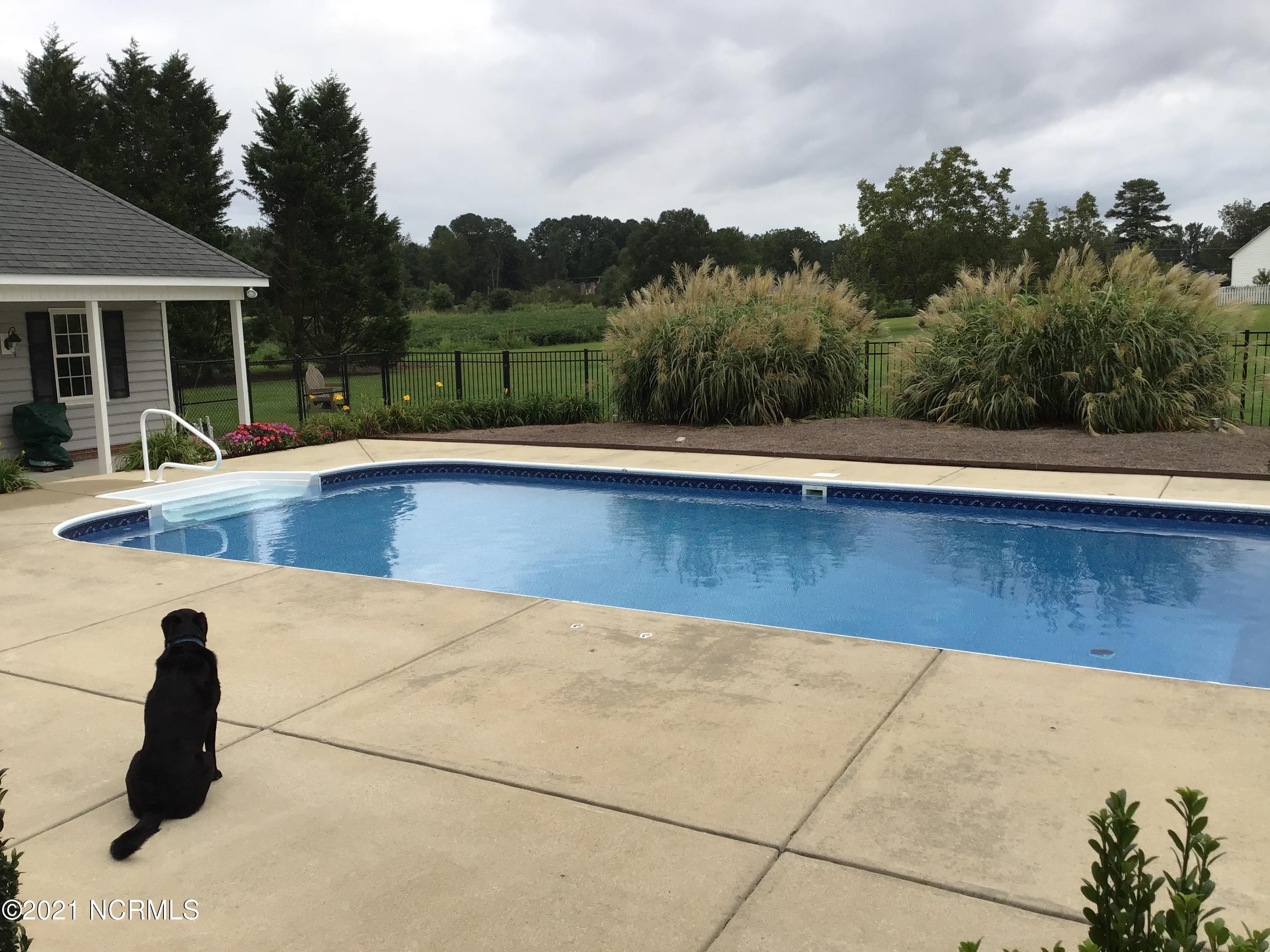 5508 Adrian Road Wilson, NC 27896 - Photo 49 of 74 POOL
