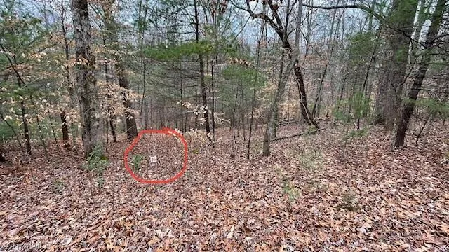 $29,999 | Lot 16 Woods Haven Lane, Stuart, VA 24171