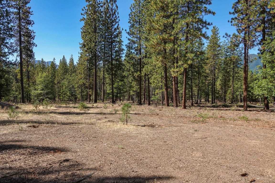 10206 Quartz Valley Road Fort Jones, CA 96032 - Photo 40 of 50 Gallery Image 40