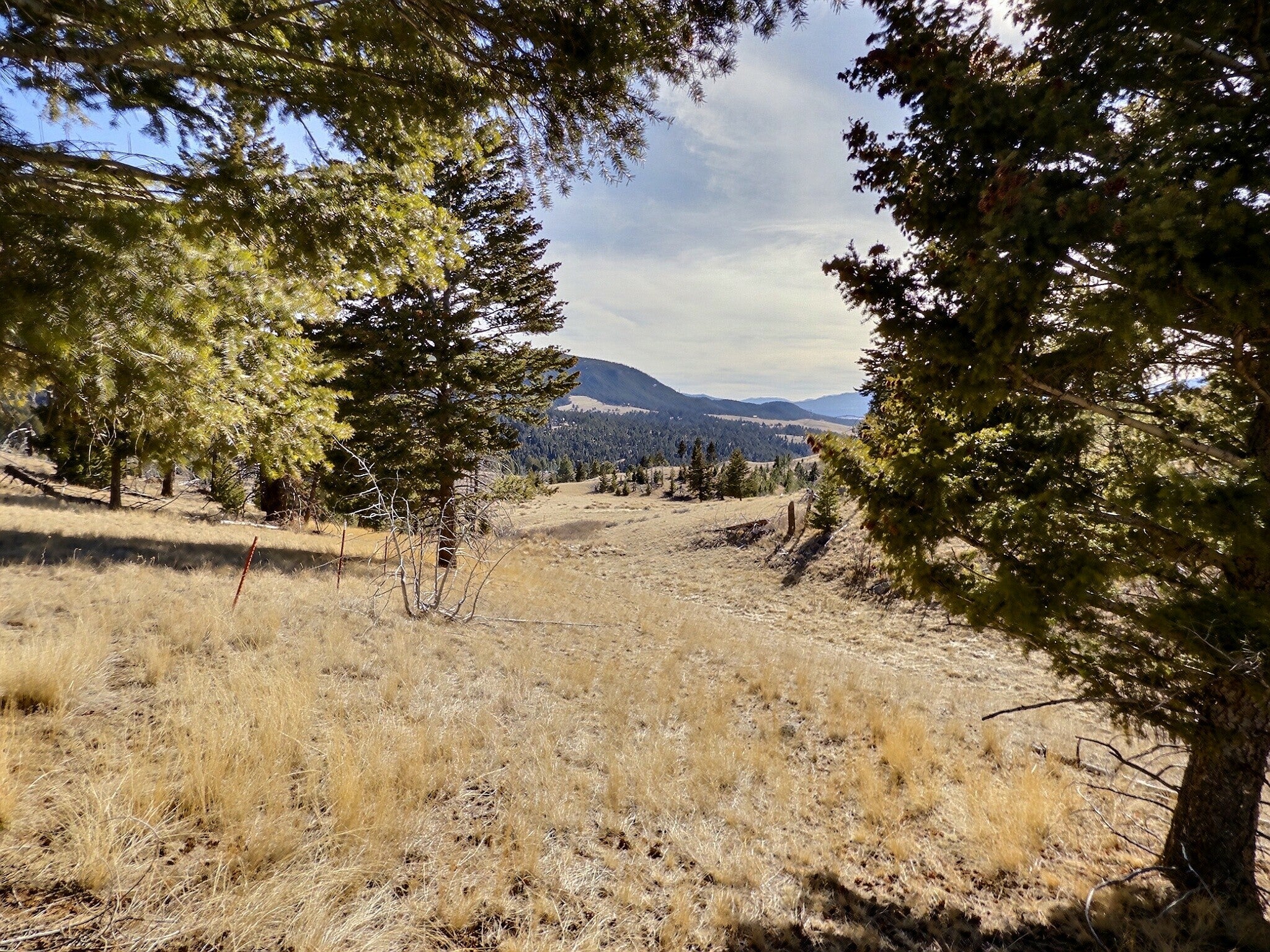 83 Nursery Creek Road Boulder, MT 59632 - Photo 58 of 62 Gallery Image 58