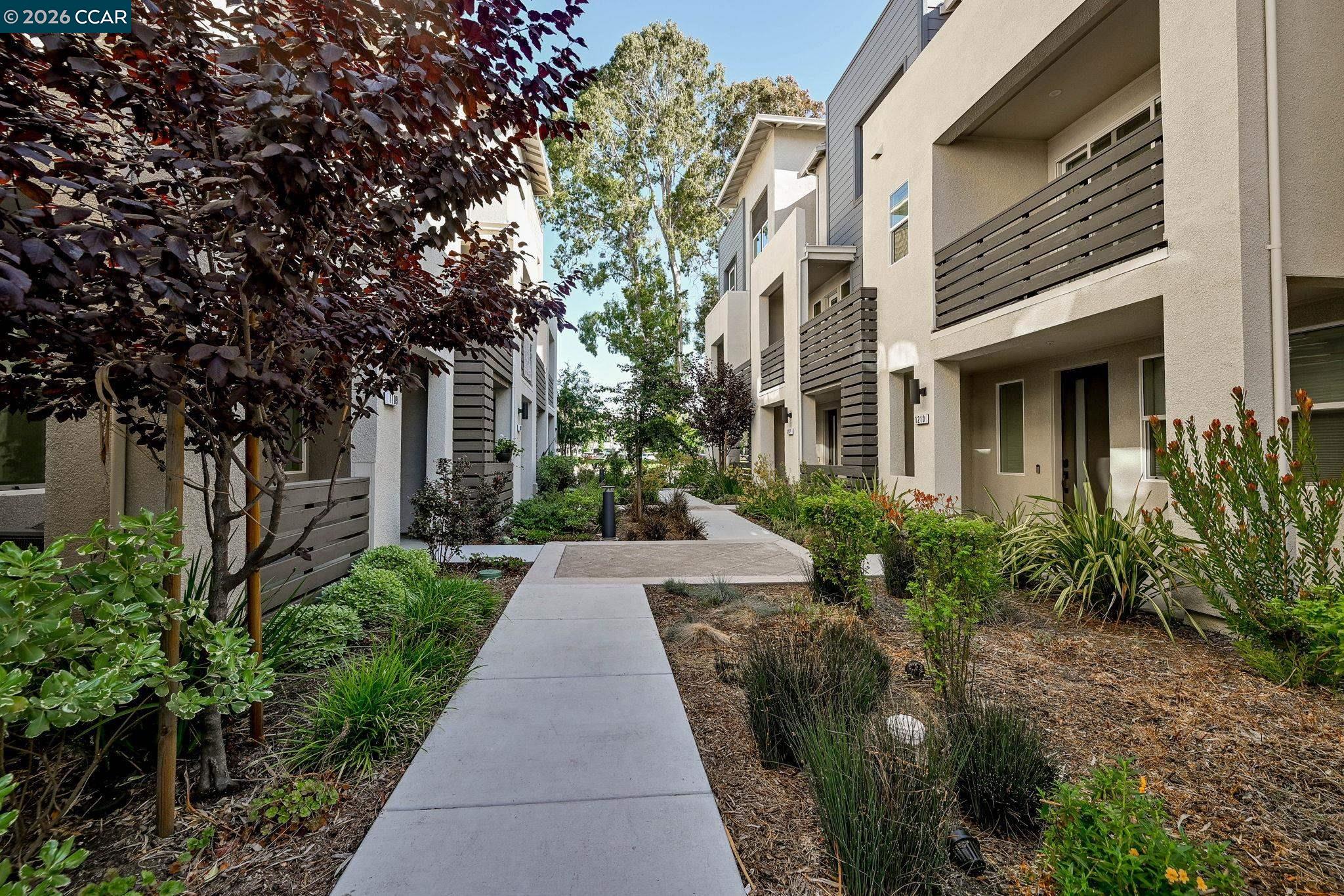 1212 Azure Court San Ramon, CA 94583 - Photo 4 of 45