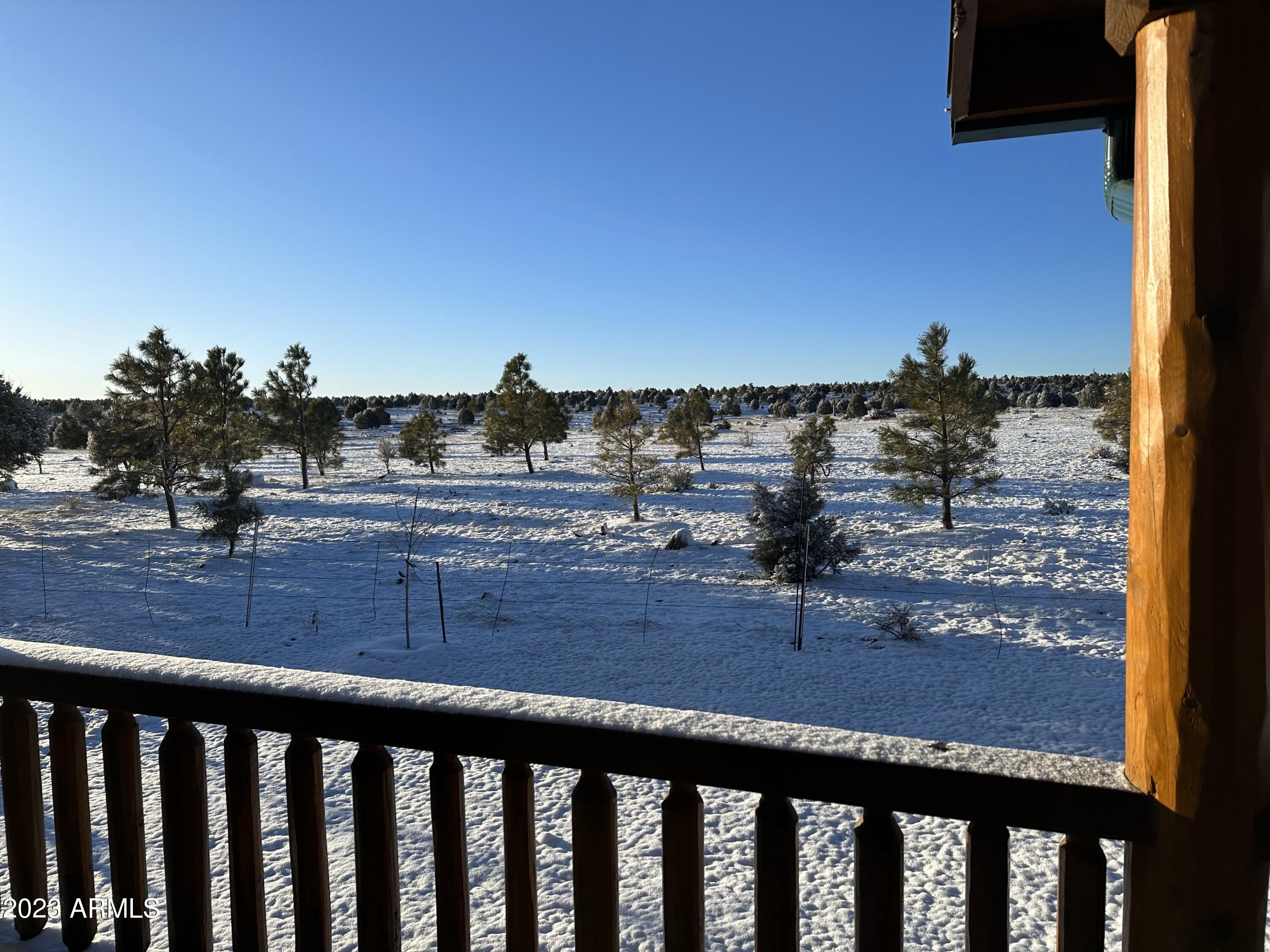 2670 Lodge Loop Overgaard, AZ 85933 - Photo 15 of 20 winter view