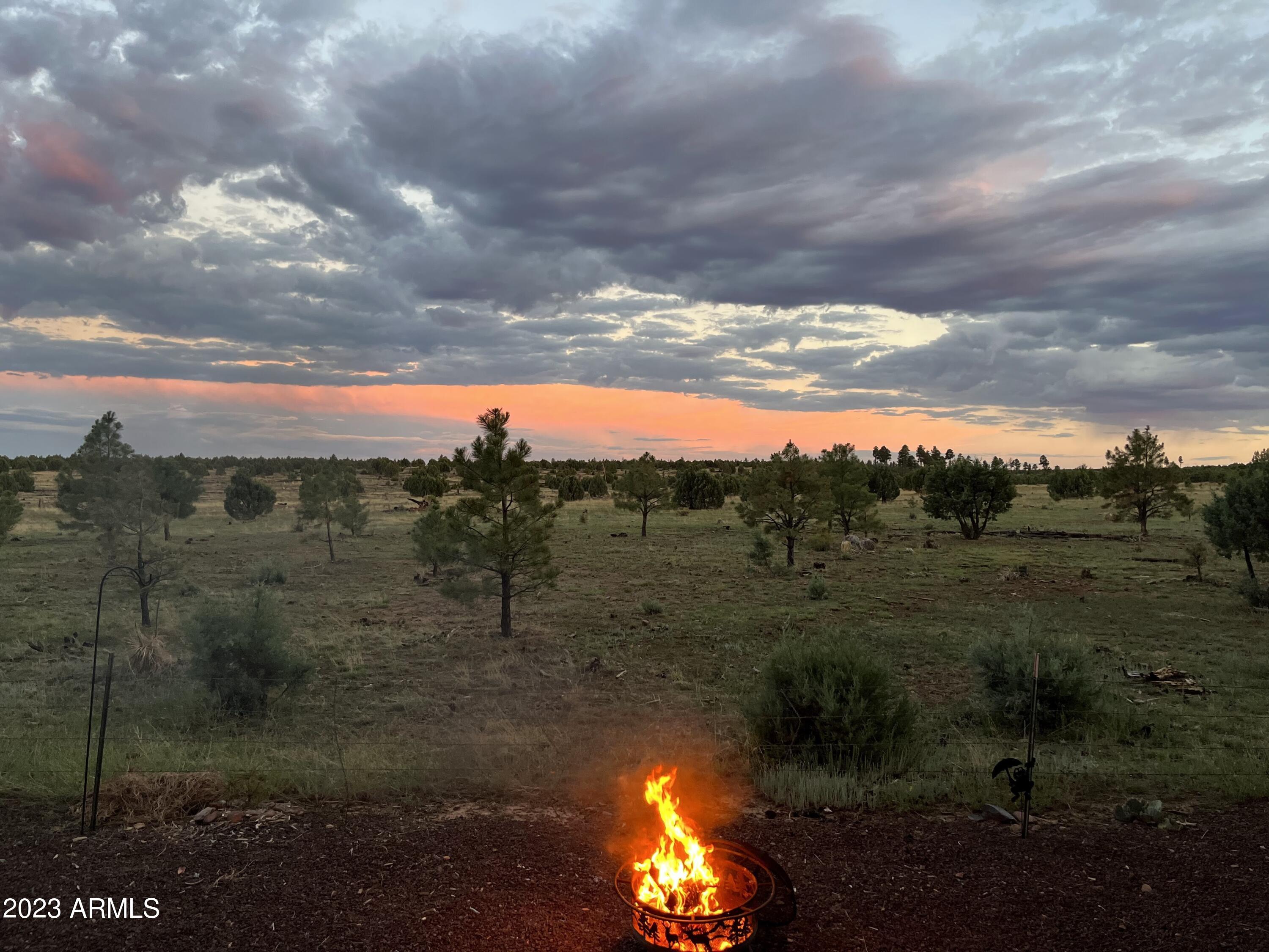 2670 Lodge Loop Overgaard, AZ 85933 - Photo 16 of 20 sunset