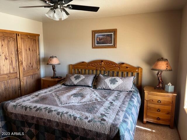 2670 Lodge Loop Overgaard, AZ 85933 - Photo 7 of 20 Master BR