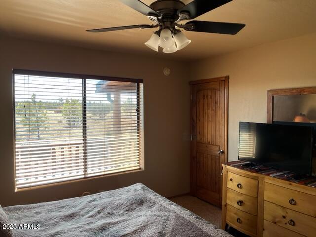 2670 Lodge Loop Overgaard, AZ 85933 - Photo 8 of 20 Master BR 2