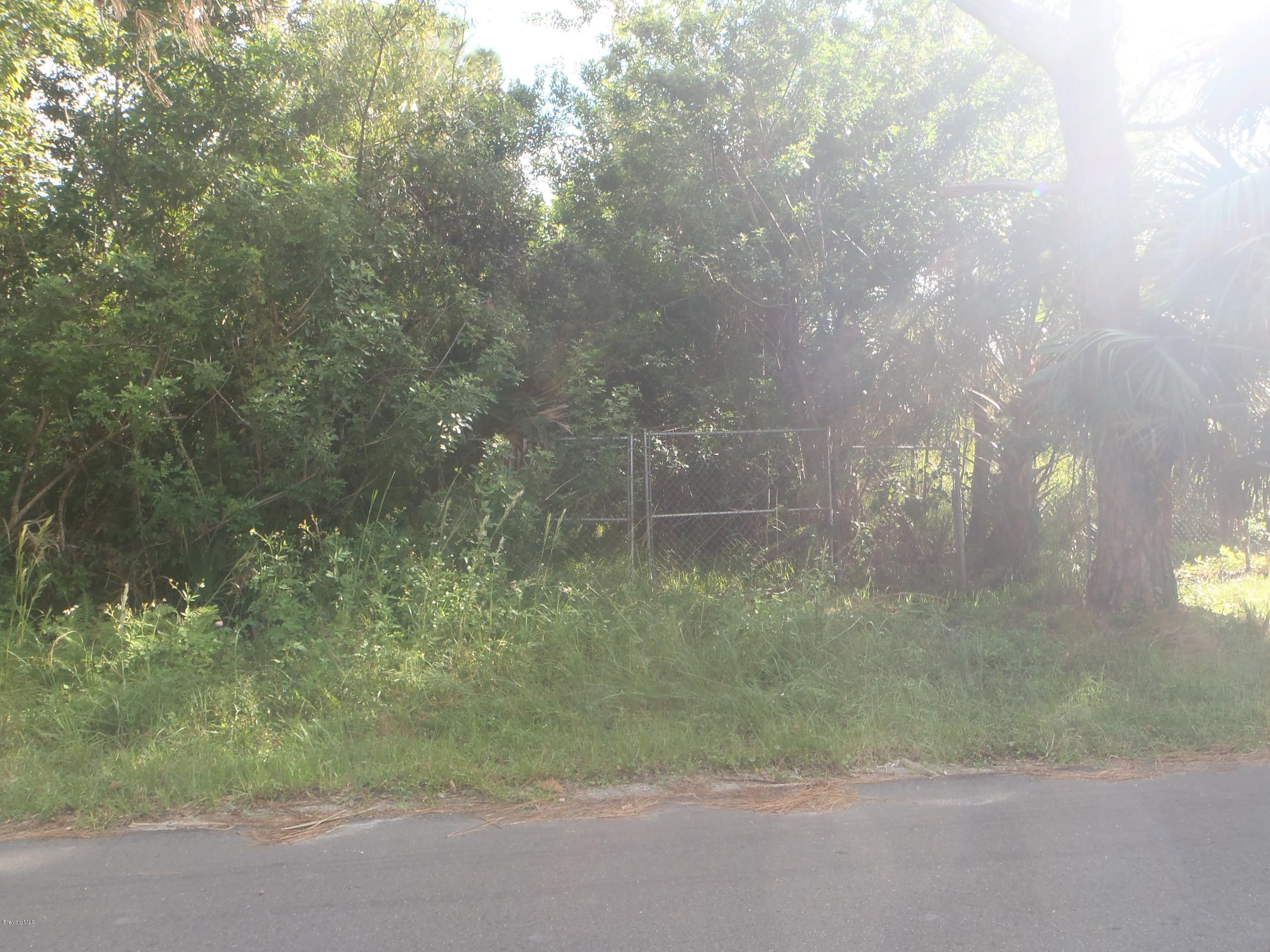 4535 Rector Road Cocoa, FL 32926 - Photo 1 of 4 Norm Holmes Land 014